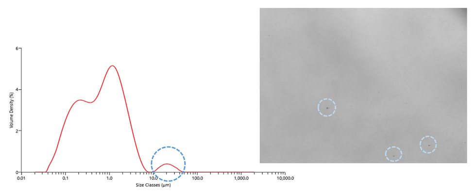 Figure 6: Dispersion and individual particle images from the Hydro Insight will show you what’s behind that extra peak in the particle size distribution