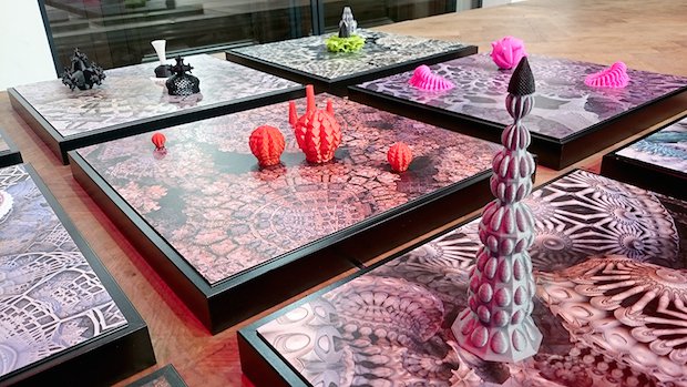 filamentus.JPG filamentus.JPG