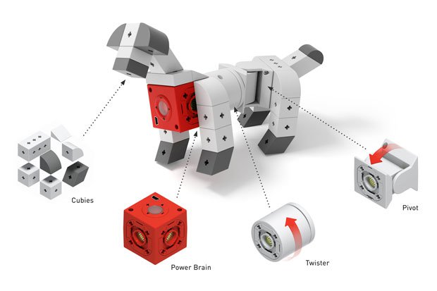 Kinematics Dog