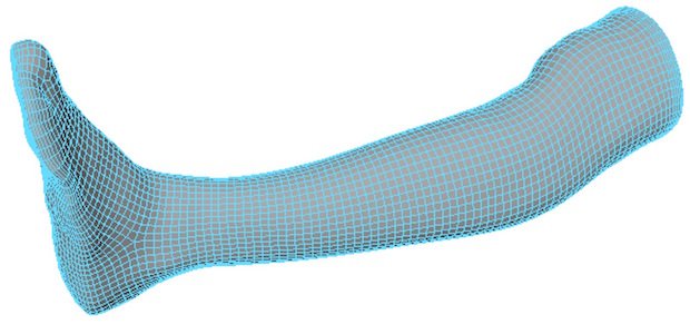 mesh_leg.jpg