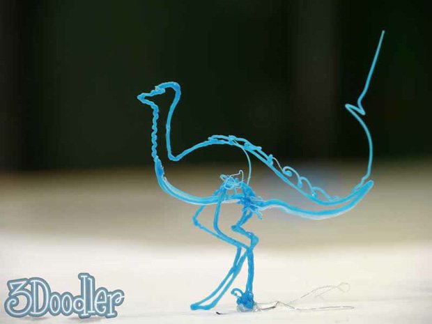 An ostrich not a velociraptor as we first thought!