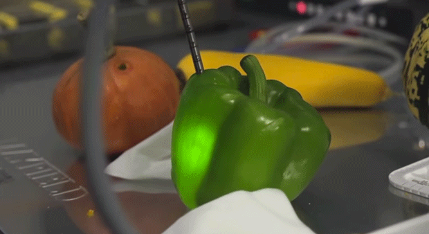 Surgeons used bell peppers for practice