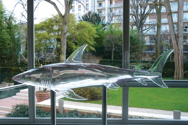 ‘Shark’ by Pascal Haudressy CMA