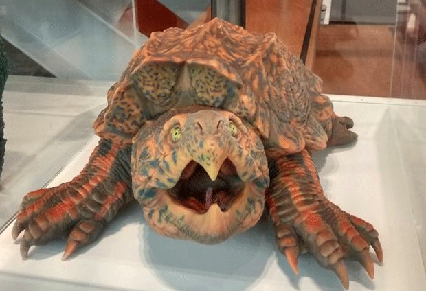 Turtle design printed on Connex