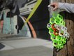 Urban Hubs