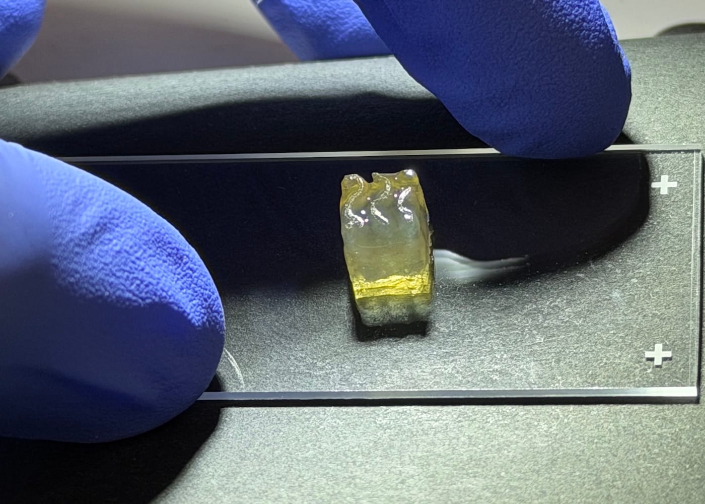 Space bioprinting milestone signals 'new way of developing regenerative medicine'
