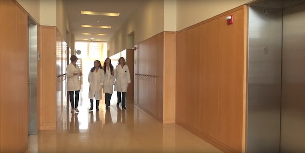 Northwestern Uni ovary research