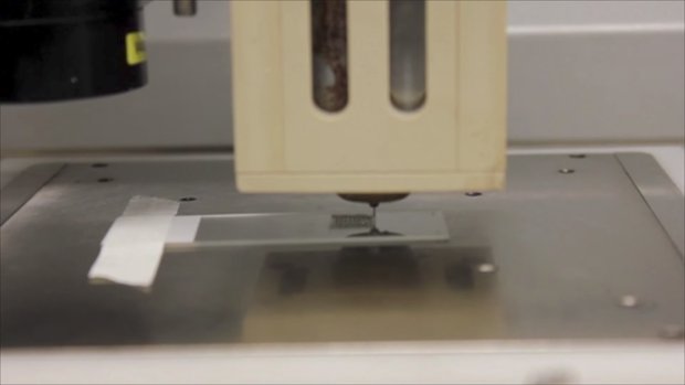 Northwester Uni research ovaries