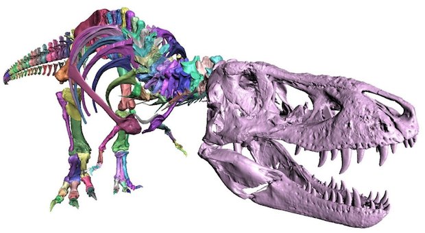 Trix T Rex
