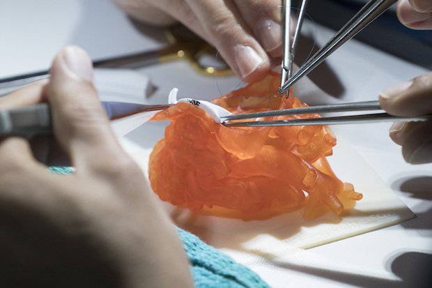 Stratasys BioMimics