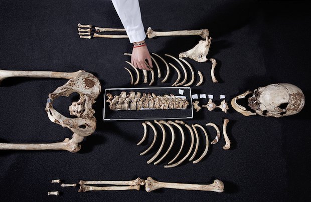 Cheddar Man skeleton