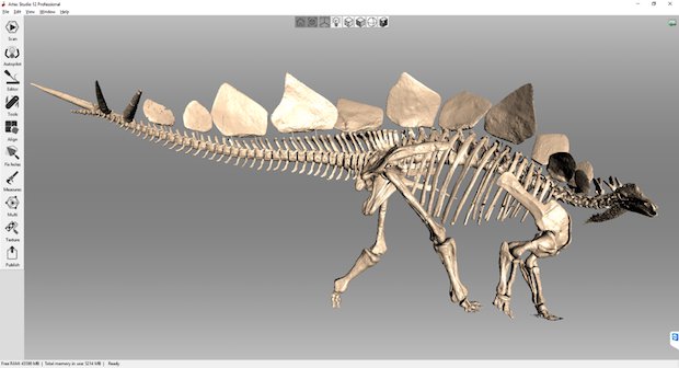 The final model of the Kessler Stegosaurus in Artec Studio, side view