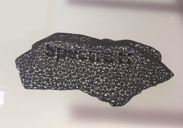 Spectra H 3D printed lattice structure.jpg