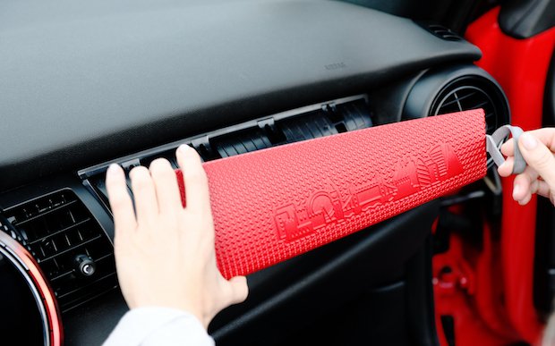 DPS Inset Image 2.jpg