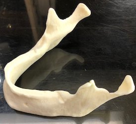 Medical application printed in 3D Printlife's FibreTuff PAPC material.