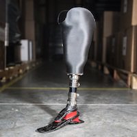 Essentium Vorum Prostehtic Essentium Vorum Prostehtic