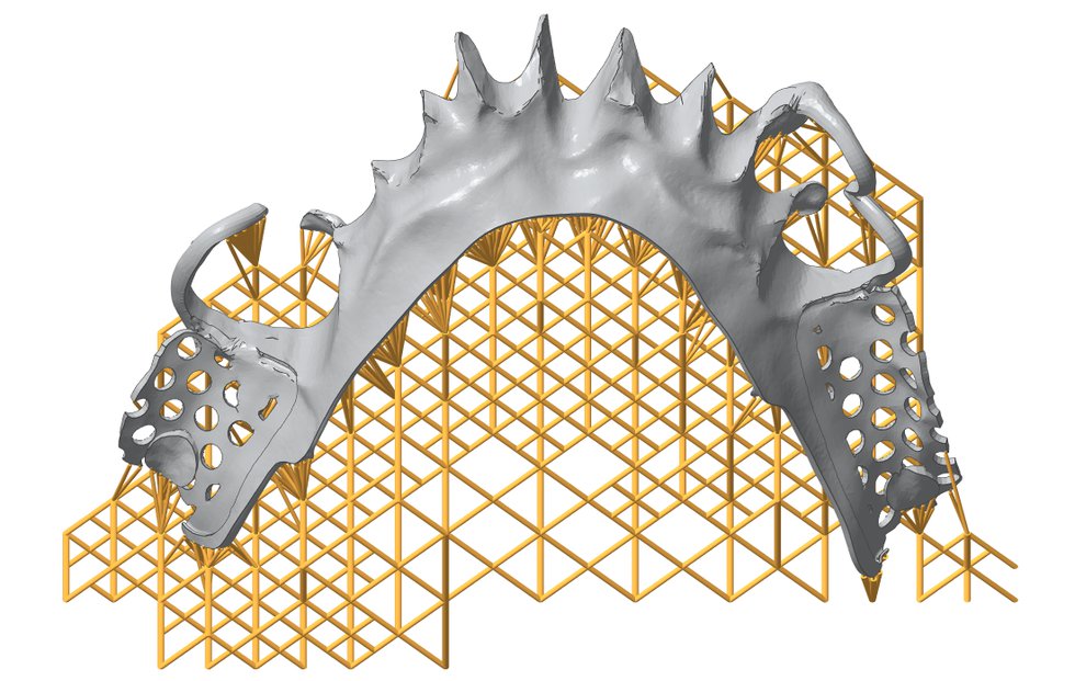 DLP smart support.png