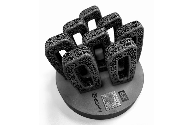 6K 3D printed spinal cages.png 6K 3D printed spinal cages.png