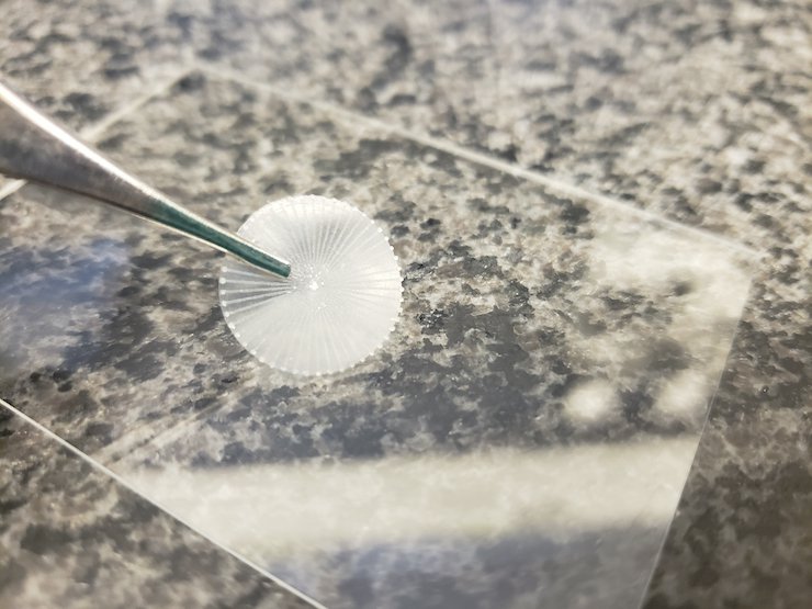 PhonoGraft - biomimetic graft that has the potential to enable high quality and long-lasting eardrum reconstruction_210622.jpg