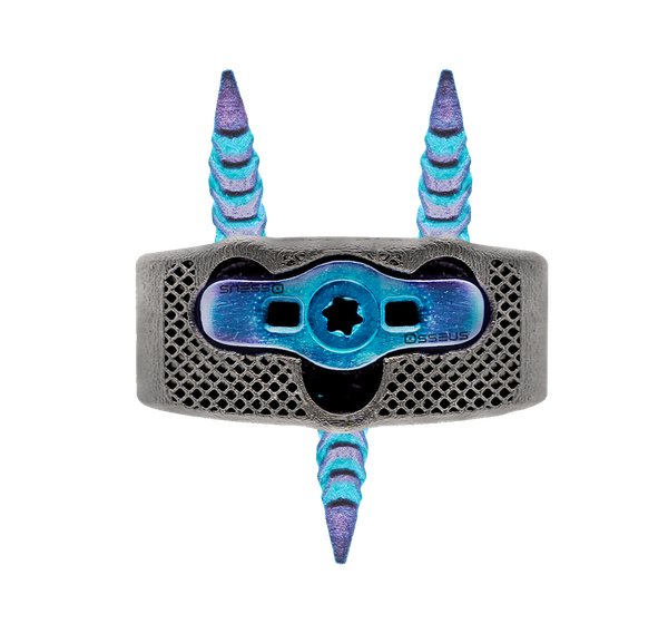 Pisces Anchor Front.png