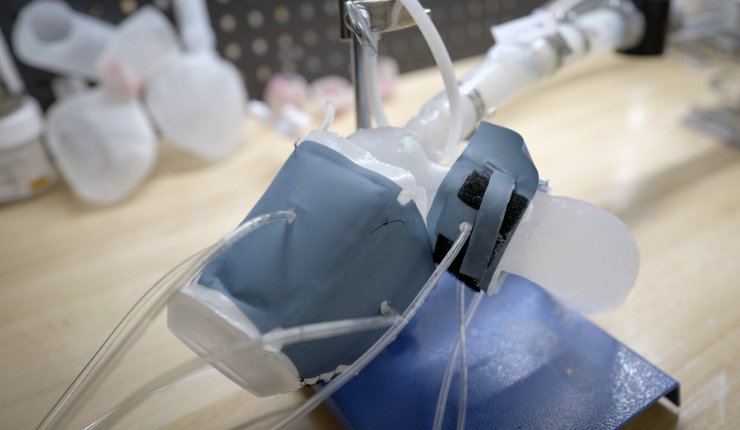 Untitled design-184.png