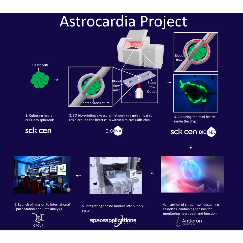 Untitled design-659.png