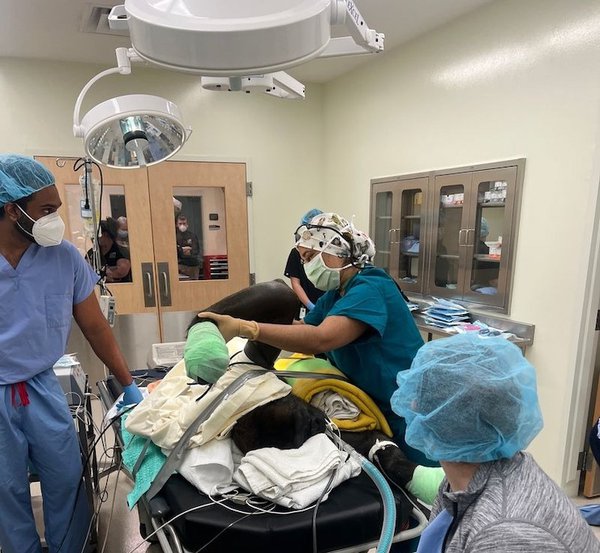 Sajen and Kotagal.jpg