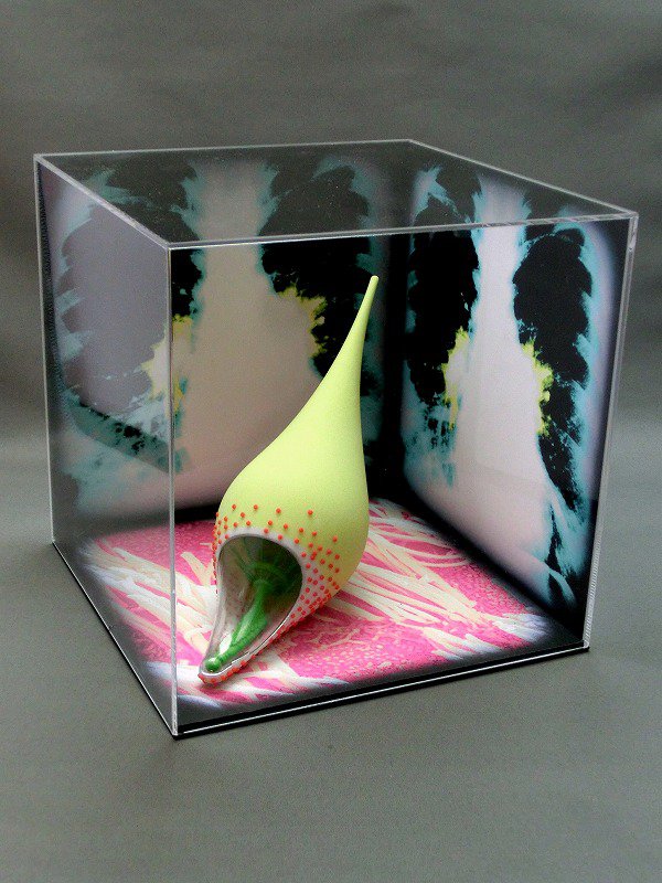 mycoplasma model Z650.jpg