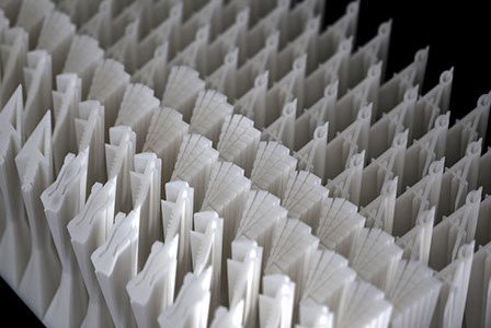 img_0800 sm-crop-u2904.jpg