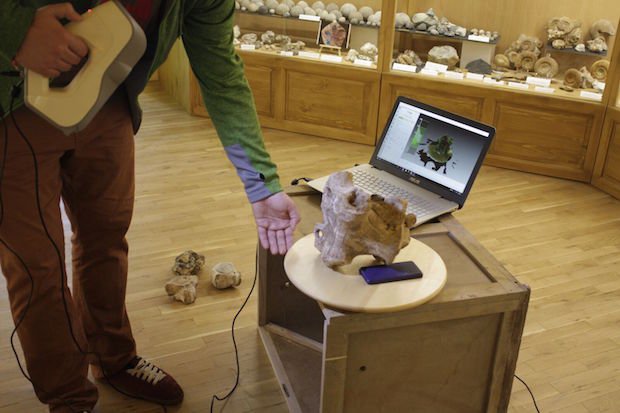 Threeding Artec 3D palaeontology