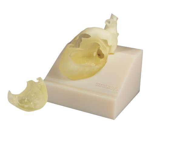 Stratasys 3DHEART