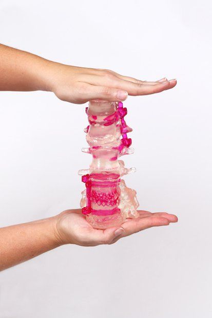 3D printed spine                3D printed spine model from 3D Systems.