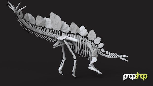 Natural History Museum 3D prints rare Stegosaurus skeleton