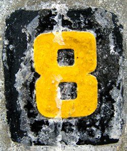 EIght Reasons (Small)