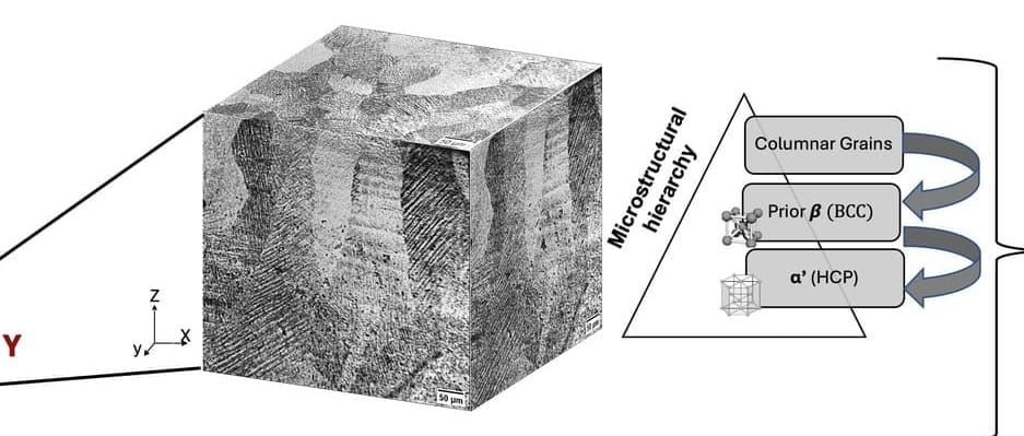 Printing microstructures for performance not parts: A strength-ductility balance unlocked in 3D printed titanium