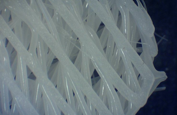 Scaffold 3D printed with Akira Science AKIMed-c12. (Credit: Akira Science)