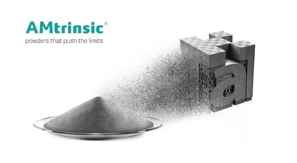 AMtrinsic