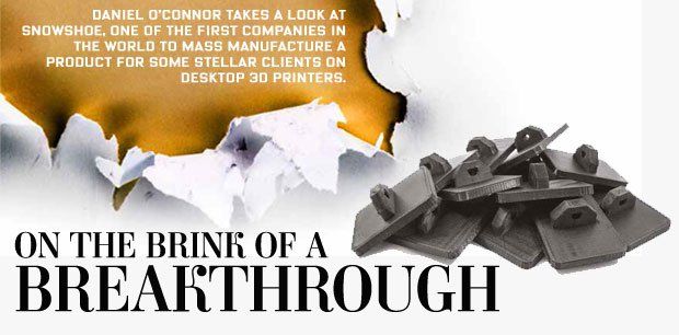 Brink of a Breakthrough      Snowshoe Stamp