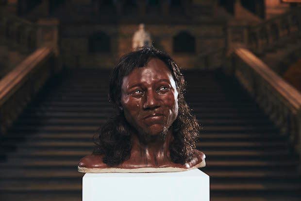 Cheddar Man      The Cheddar Man after Kennis & Kennis' reconstruction. - © Channel 4/Plimsoll Productions