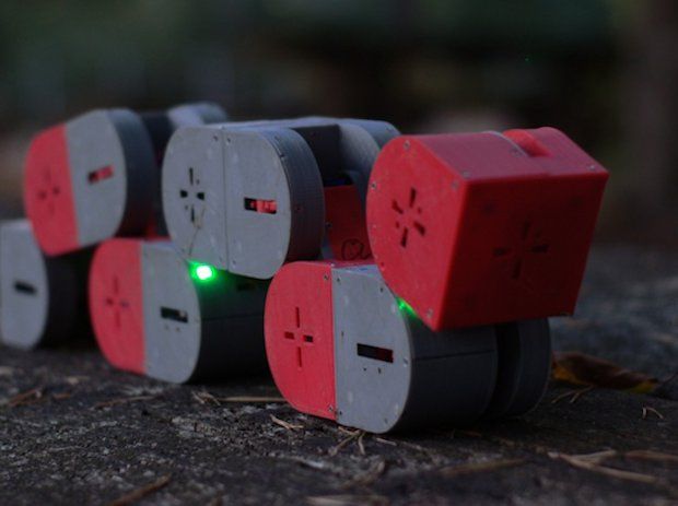 Dtto modular robot      A number of Dtto modules connected mechanically and acting as a single robot.
