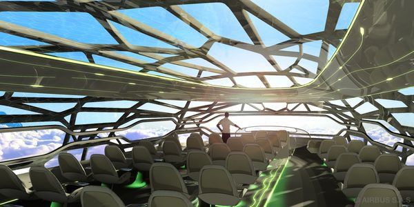 AIrbus Plane      The concept plane by Airbus to be made circa 2050 with a 3D printer
