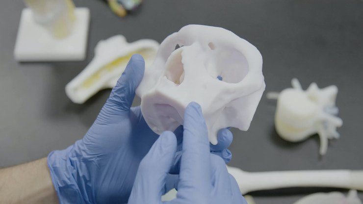 Gloved-Hands-Holding-Skull      3D-printed anatomic model - Ricoh USA