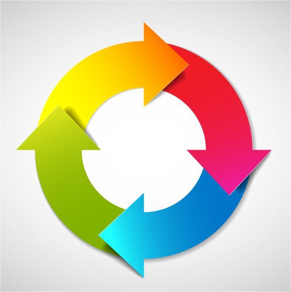 Lifecycle