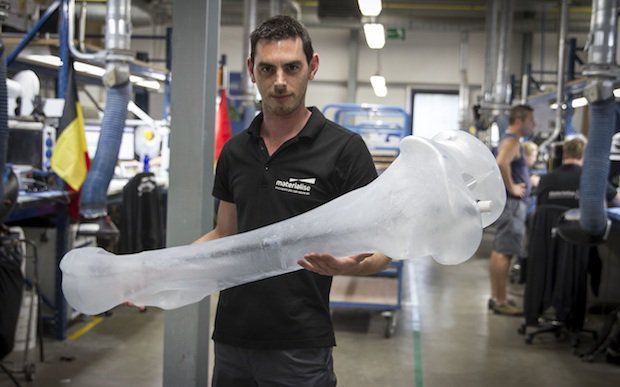 Materialise is using large-format 3D printers to recreate mammoth skeleton for display in Lier, Belgium.