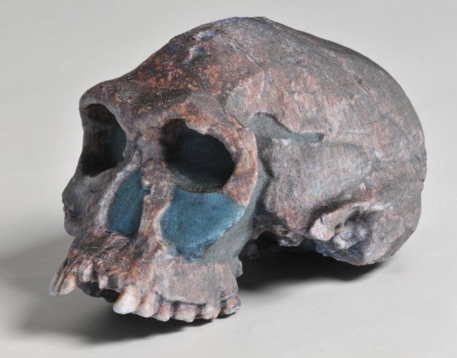 Mcor Iris Skull      A skull model, printed in full-colour on the Mcor Iris