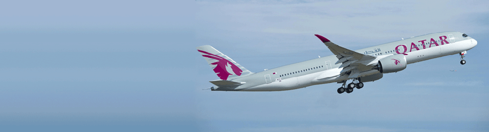 Moog is the supplier for the A350 XWB Primary Flight Control Actuation and Trailing Edge Flap Actuation System.      Moog is the supplier for the A350 XWB Primary Flight Control Actuation ...