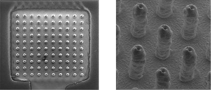 Aerosol Jet printed gold micropillars.
