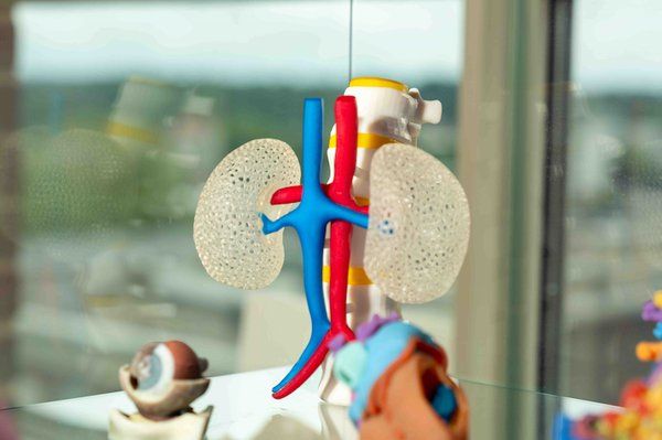 Ricoh 3D for Healthcare