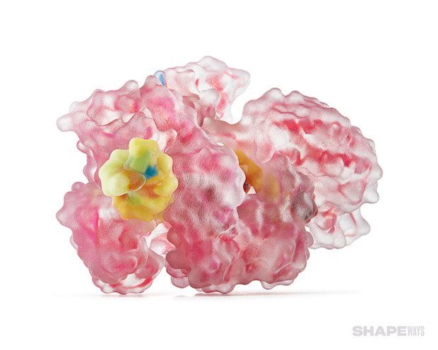 Biological Models      3D Printed Model Produced by Shapeways Customer Biologic Models on the Stratasys J750 3D Printer. - Shapeways
