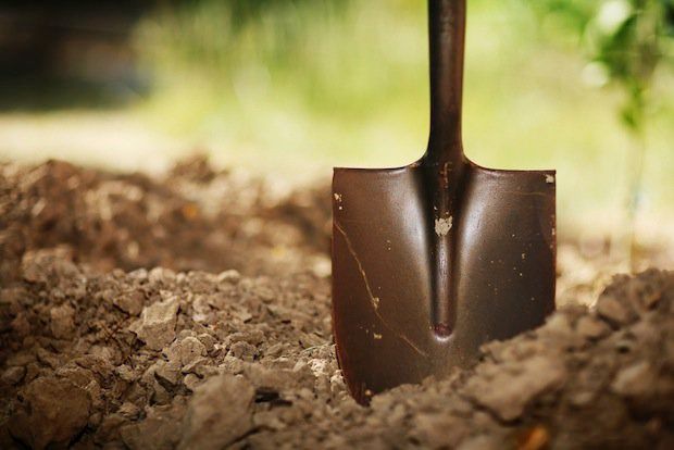 Shovel